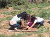 Plantio_20APP_20Jd_20Ricardo_20out_202005_20foto14.JPG