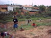 Plantio_20APP_20Jd_20Ricardo_20out_202005_20foto1a.JPG