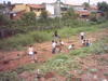 Plantio_20APP_20Jd_20Ricardo_20out_202005_20foto24.JPG