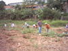 Plantio_20APP_20Jd_20Ricardo_20out_202005_20foto26.JPG