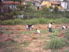 Plantio_20APP_20Jd_20Ricardo_20out_202005_20foto27.JPG