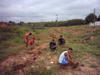 Plantio_20APP_20Jd_20Ricardo_20out_202005_20foto4.JPG