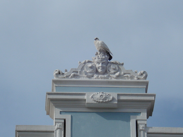 DSC00298.jpg