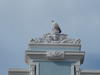 DSC00298.jpg