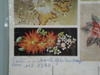 DSC00359_20_c_c3_b3pia_.jpg