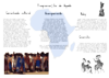 cartaz_caminhada_miolo.png