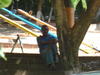 DSC02393.JPG